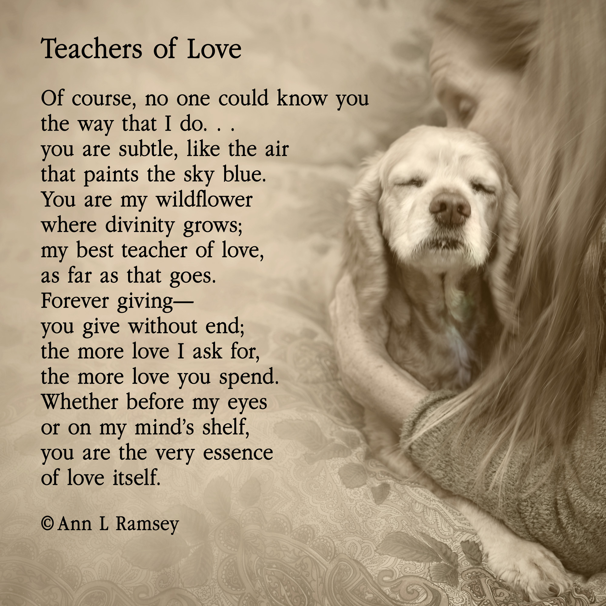 Teachers of Love