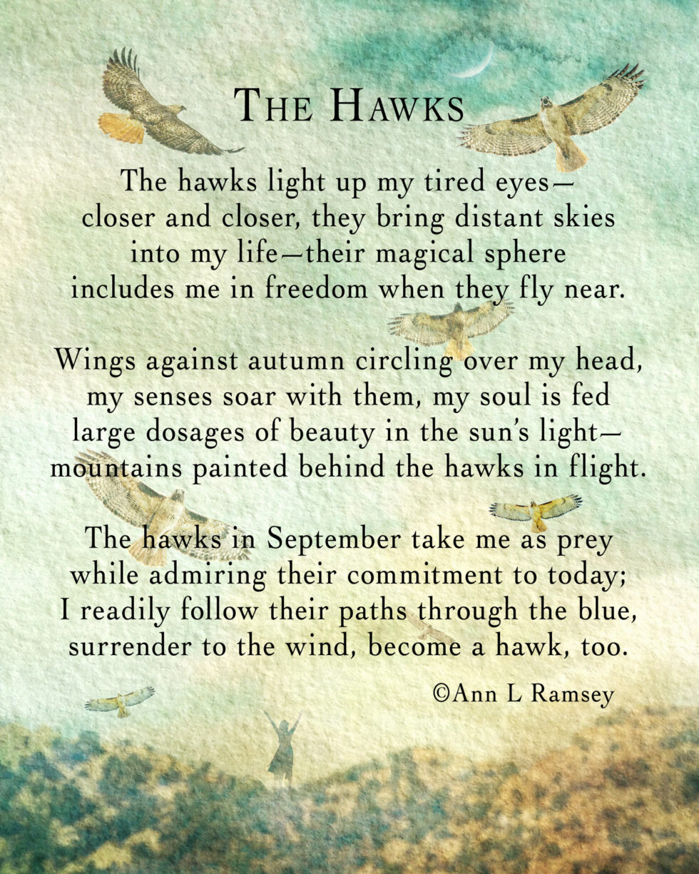 Poetry • Ann L Ramsey
