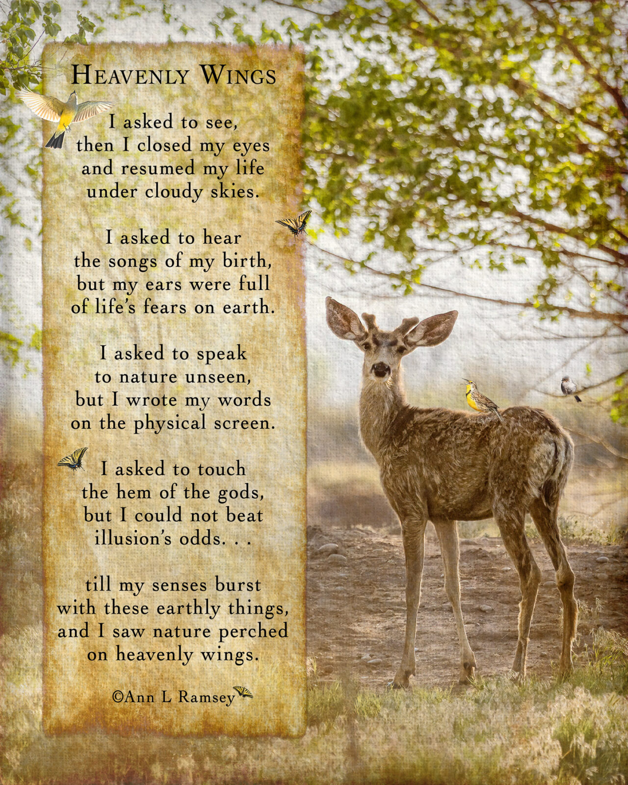 Poetry • Ann L Ramsey